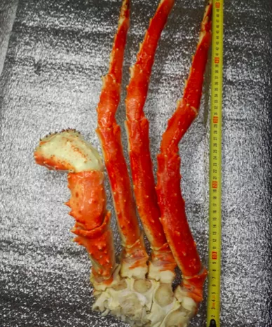 конечности краб л л2 л3 л5 оптом в Москве 2