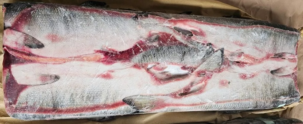 кета пбг 1 сорт, размер средний в Владивостоке 2