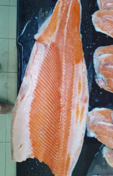 филе лосося (семга) атлантика, мурманск  в Москве 8
