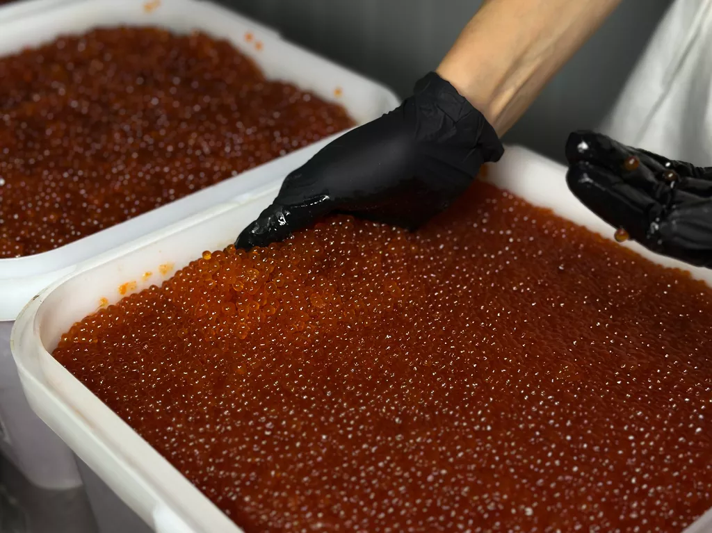 икра кеты люкс оптом (охотский район) в Москве 5