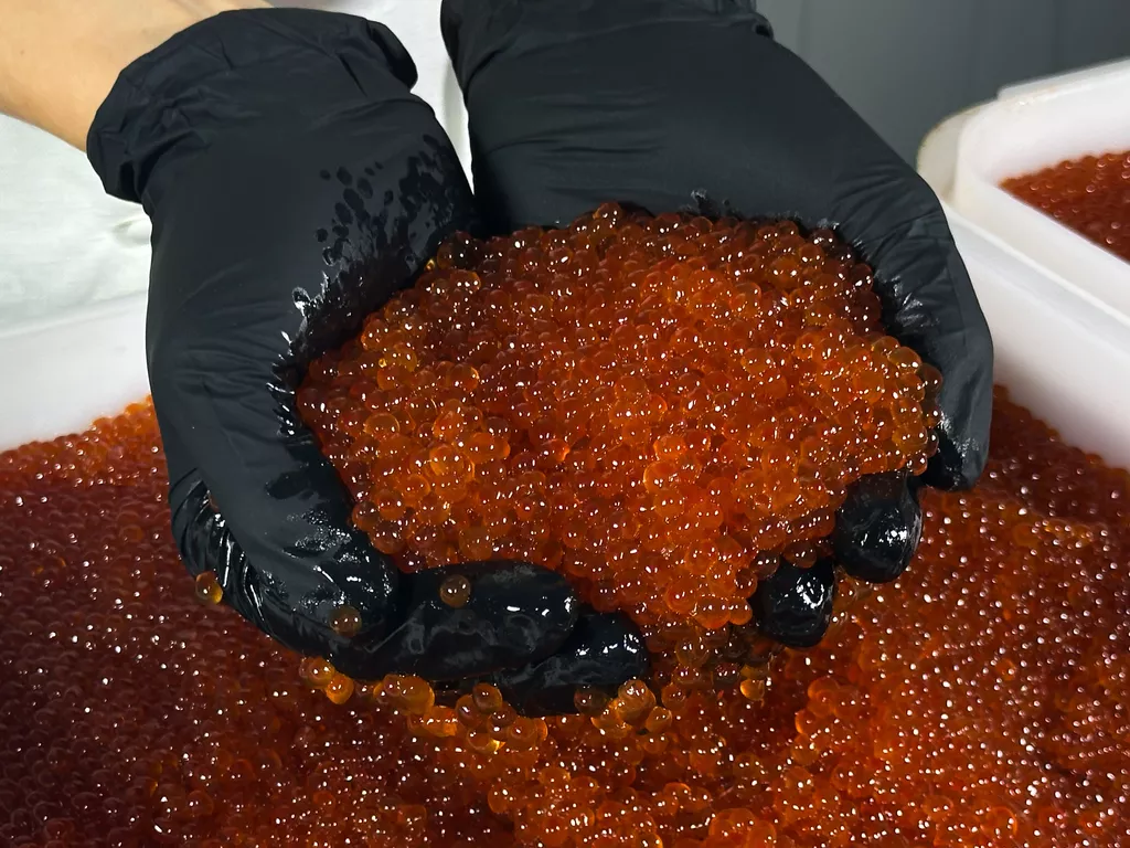 икра кеты люкс оптом (магадан) в Москве 4