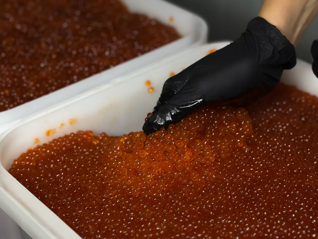 икра кеты люкс оптом (магадан) в Москве 3