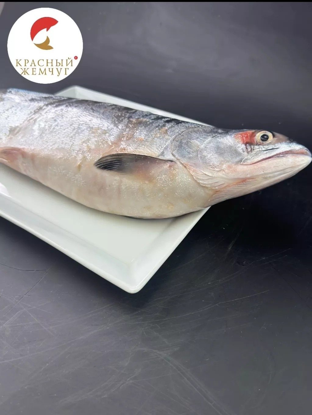 горбуша нр ООО гранис в Москве 3