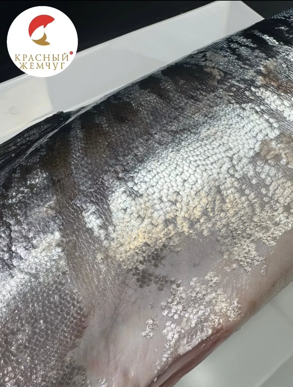 горбуша нр ООО гранис в Москве 6