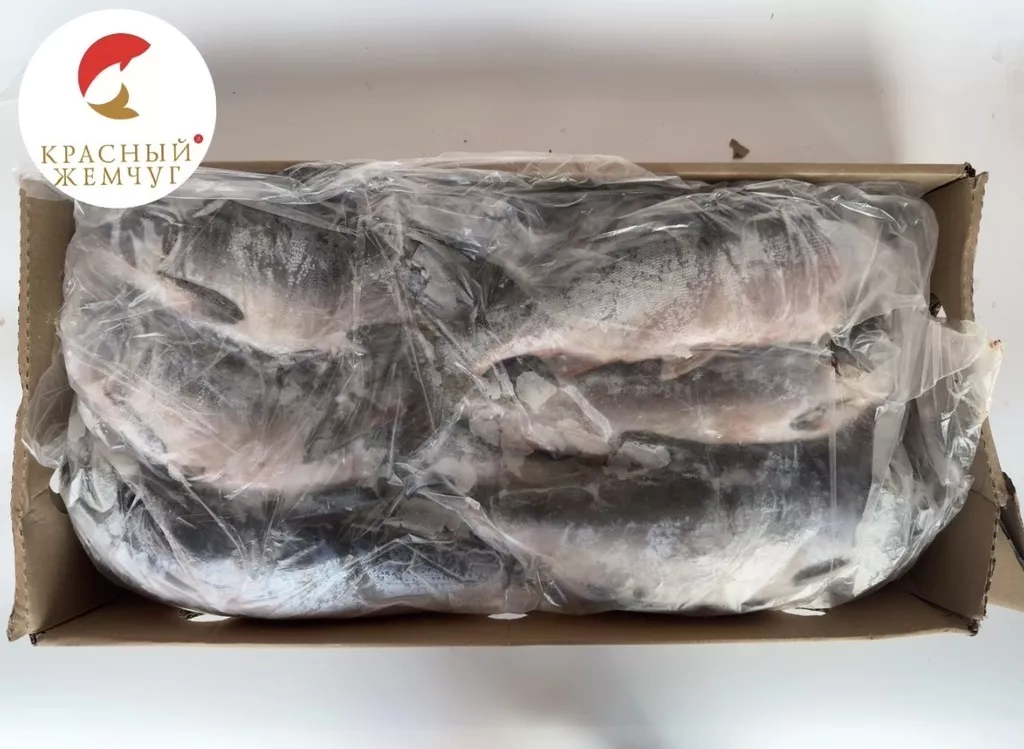 горбуша нр ООО гранис в Москве 4