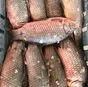 карась мороженый оптом в Астрахани и Астраханской области 2