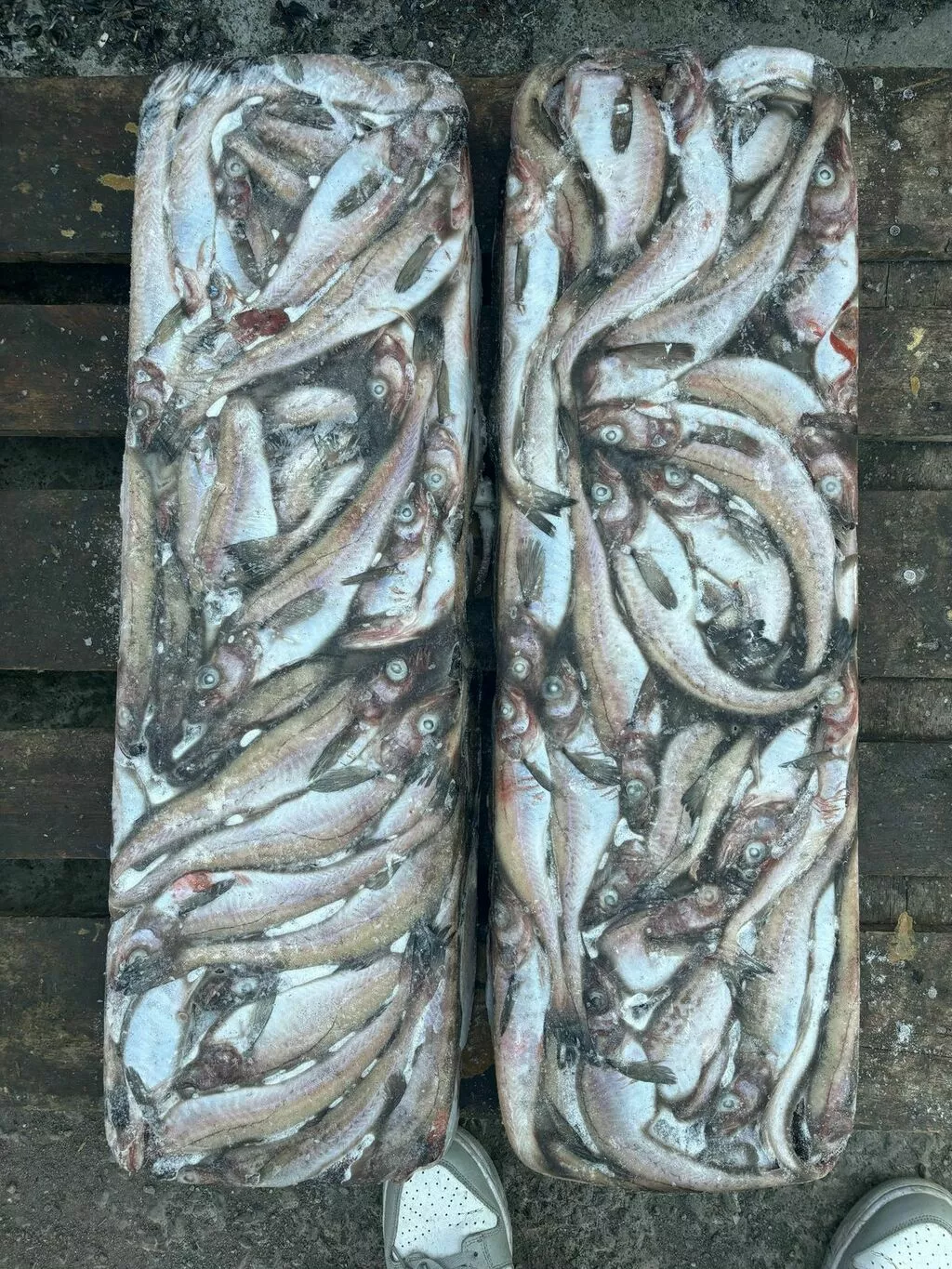 Фотография продукта Минтай бг 25 акция 