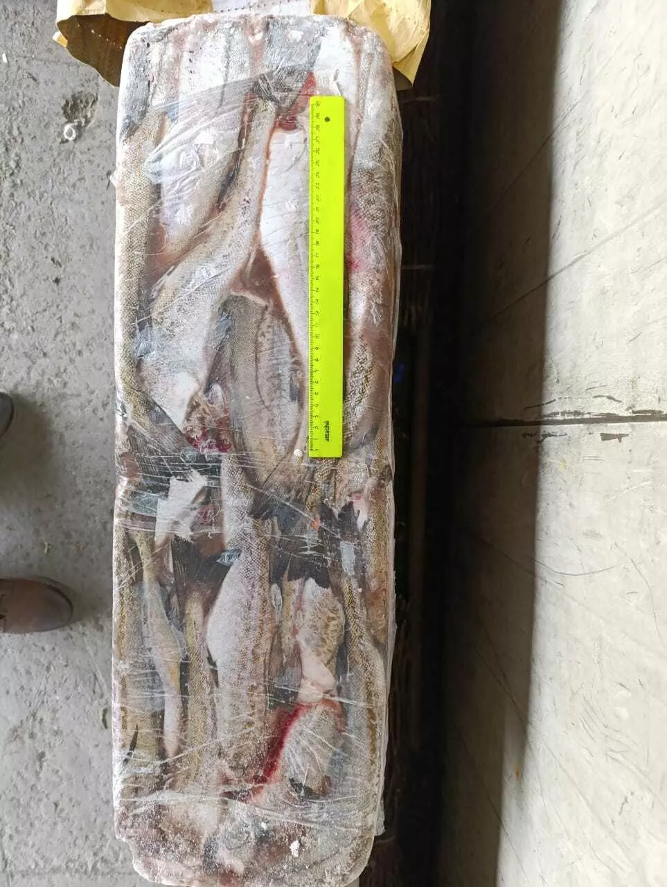 Фотография продукта Минтай бг 25 акция 