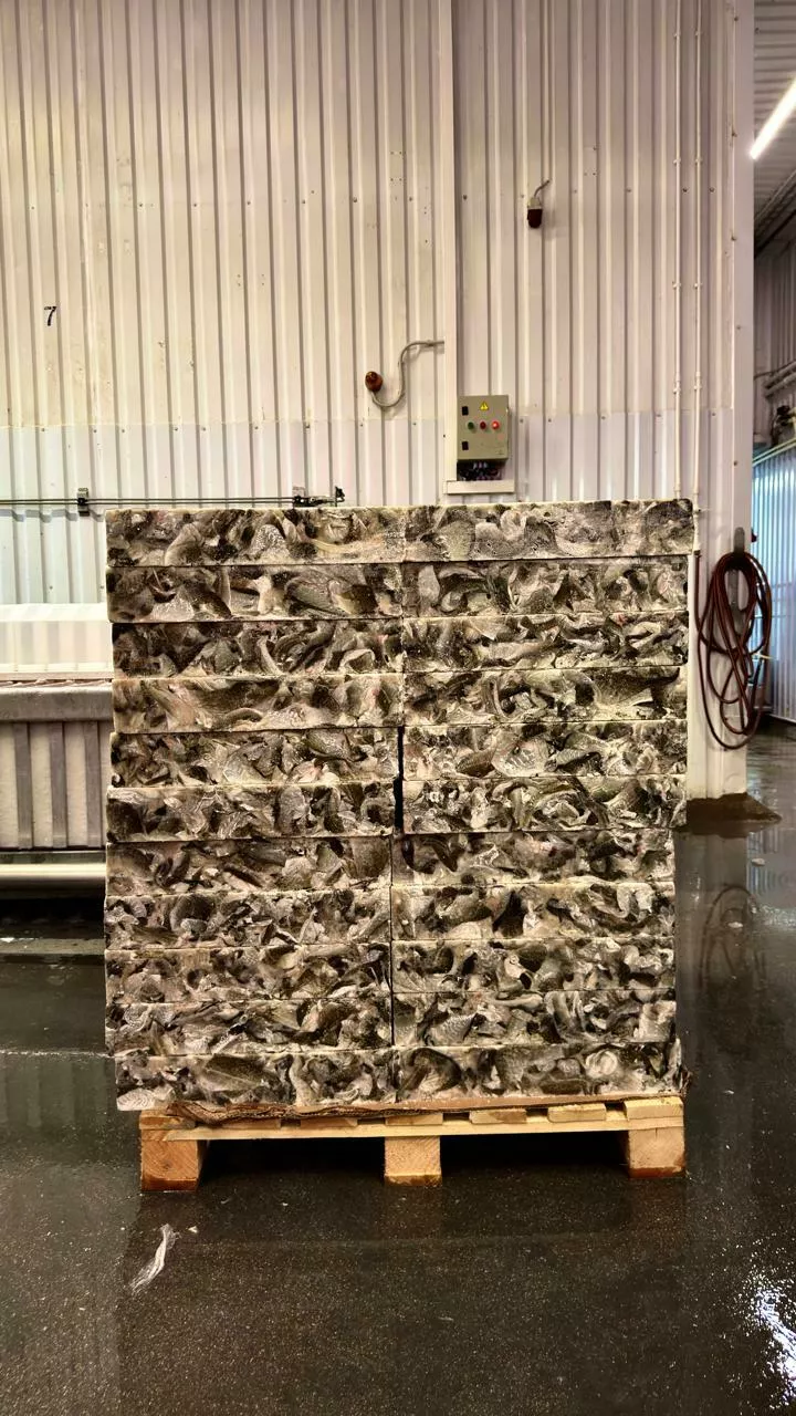 фотография продукта Кожа трески атл.