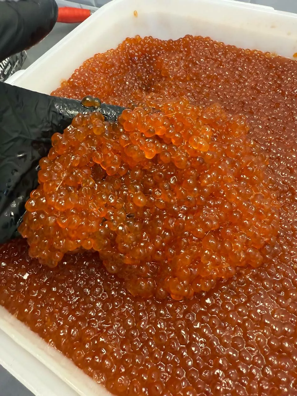 икра кеты в Ставрополе 3