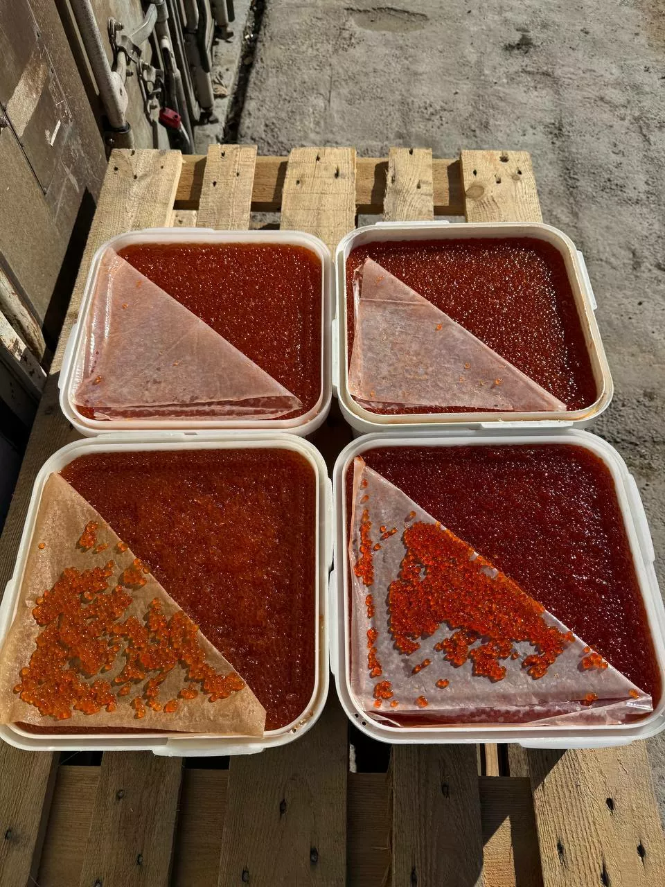 красная икра опт в Красноярске 2