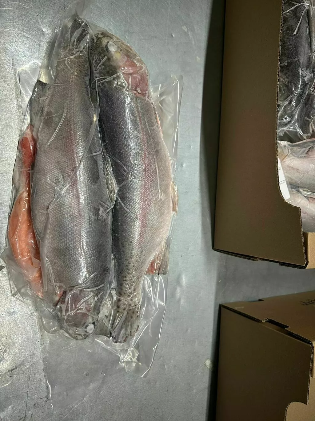 фотография продукта Форель радужная замороженная псг 0,8-1.2