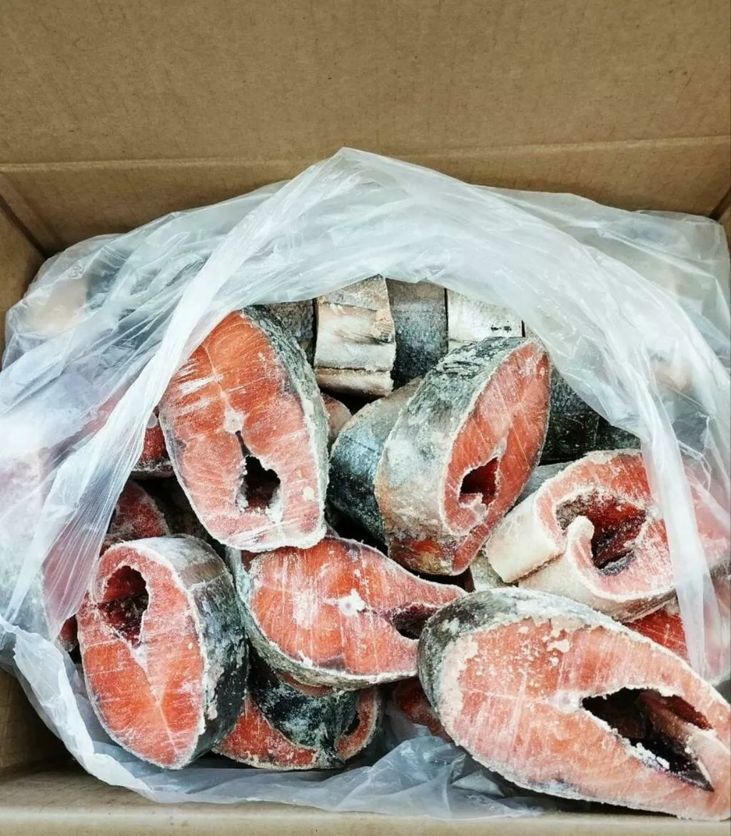 кета свежемороженая оптом копчение/засол в Красноярске и Красноярском крае 3