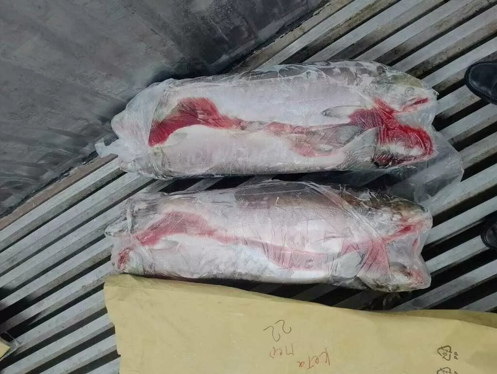 кета свежемороженая оптом копчение/засол в Красноярске и Красноярском крае 2