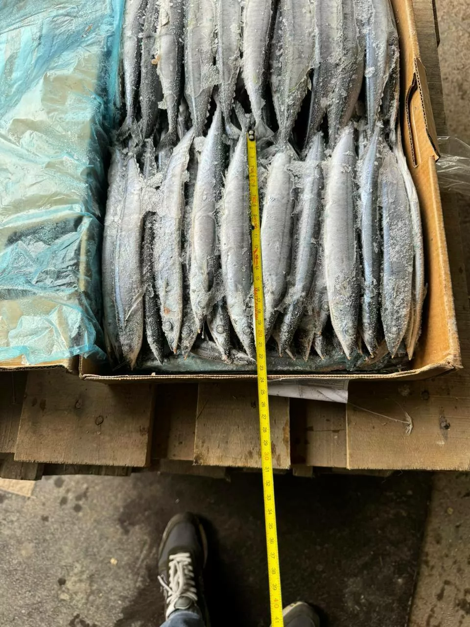 сайра не разделанная в Москве 3