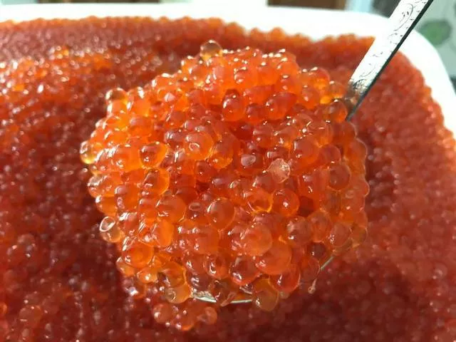 красная икра. камчатская путина 2025 в Владивостоке и Приморском крае 2