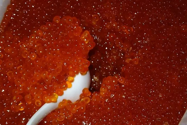 красная икра. камчатская путина 2025 в Владивостоке и Приморском крае 3