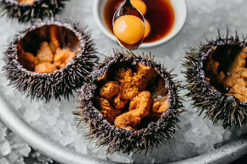 морской ёж, икра морского ежа в Москве 2