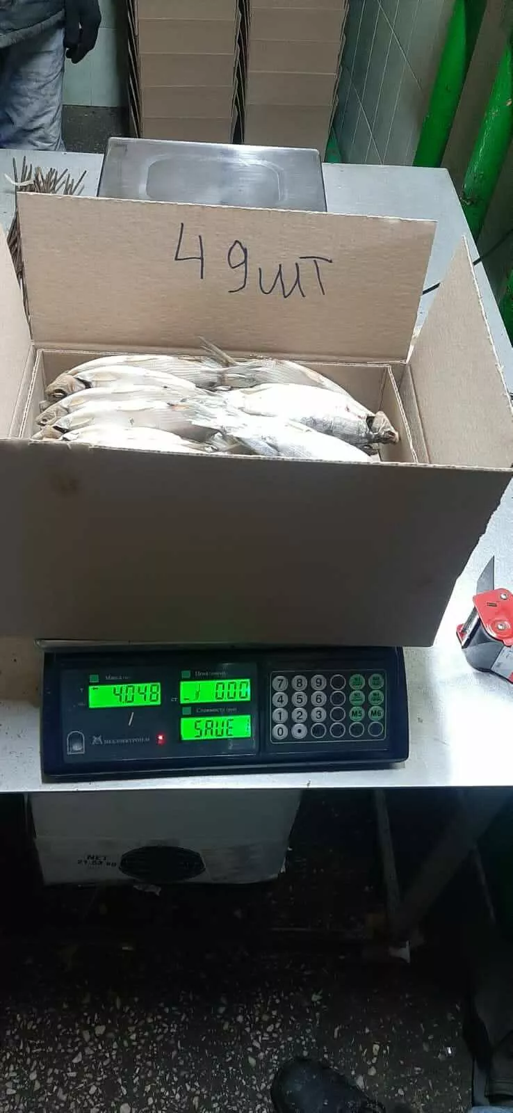 фотография продукта Вяленая и х/копчения пелядь/сырок