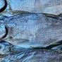 лещ вяленый астраханский в Астрахани и Астраханской области 3