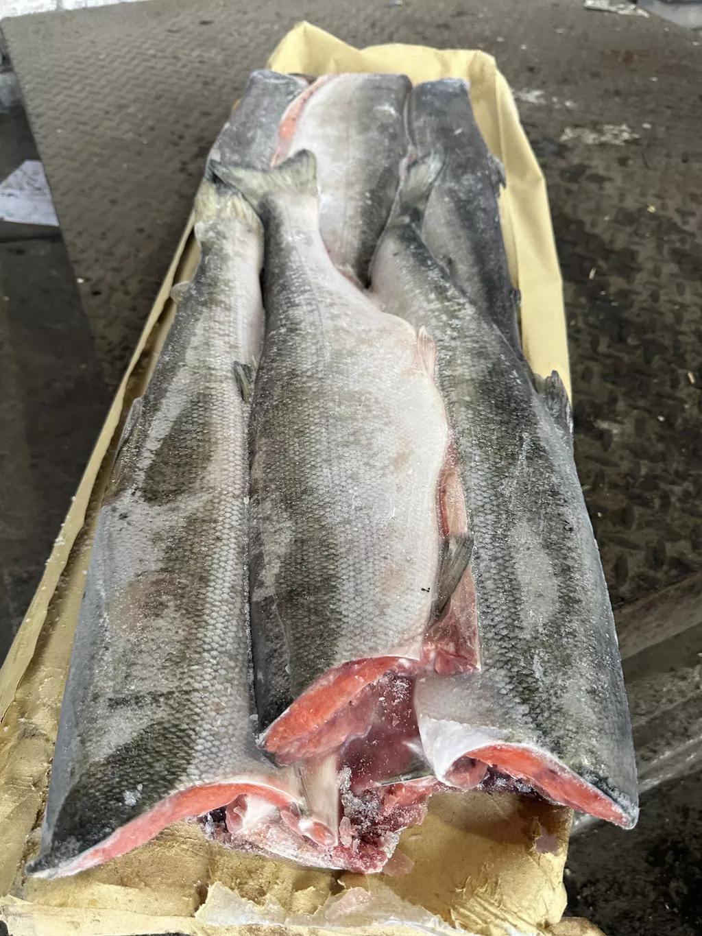 Фотография продукта Нерка см пбг 1 сорт м