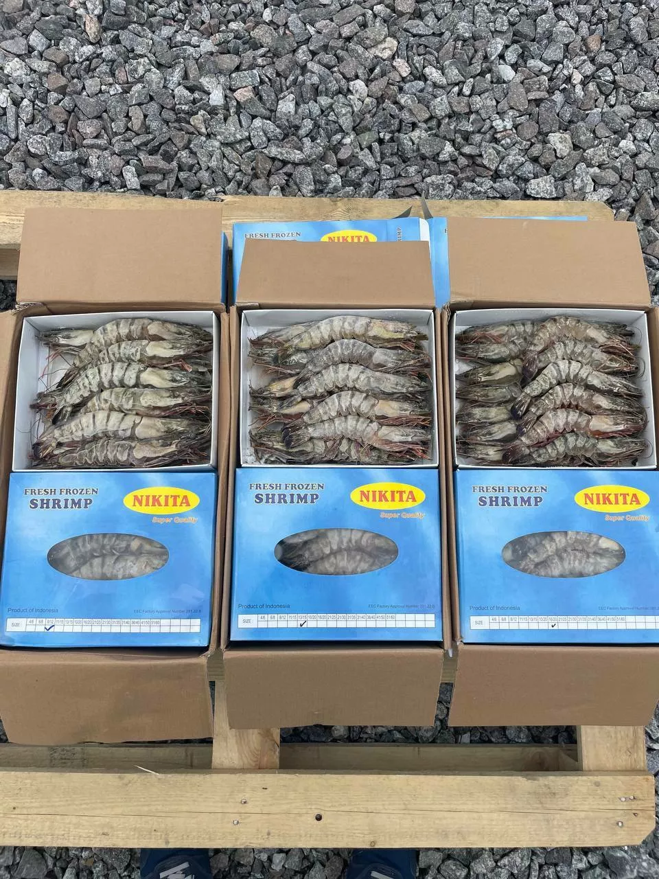 креветка черная тигровая нр в Москве 2