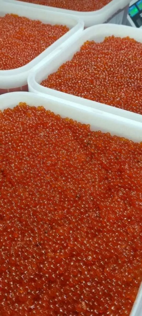 икра кеты в Владивостоке и Приморском крае 2