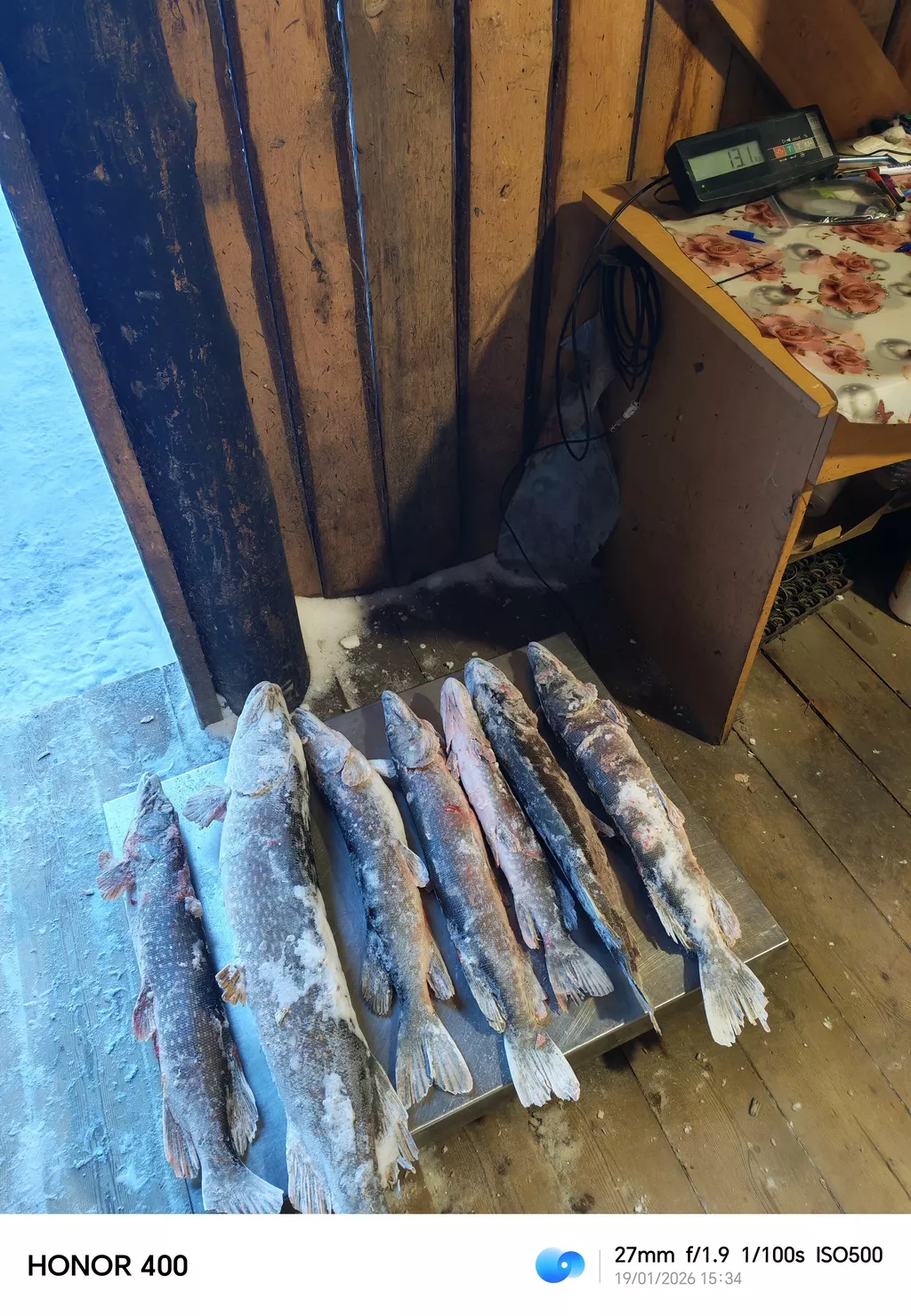 фотография продукта Щука от  1кг 12т хмао