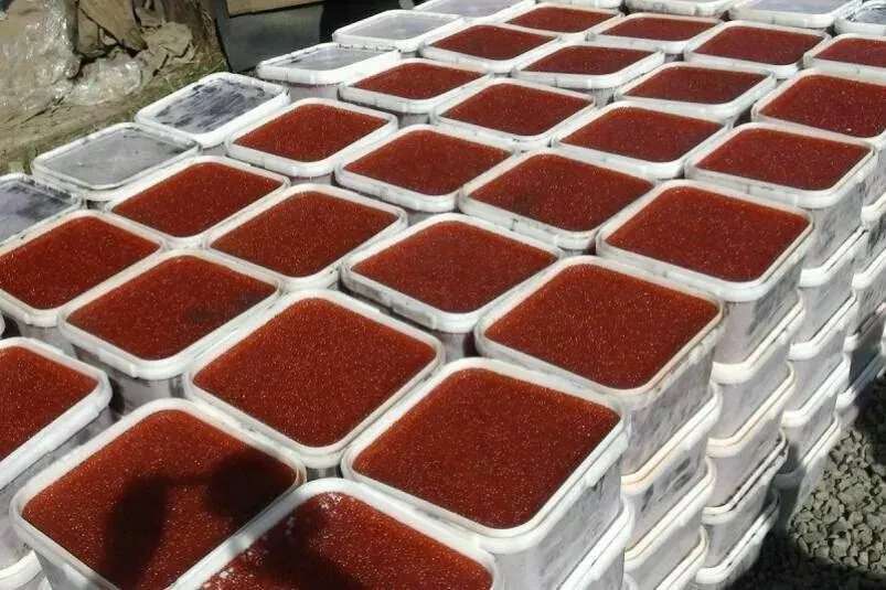 Фотография продукта Красная икра оптом 
