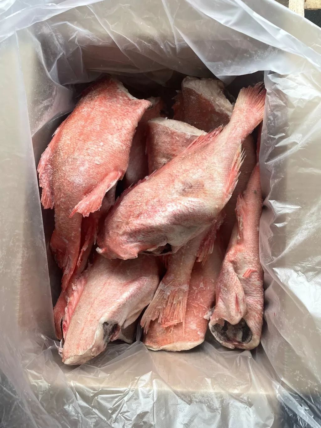 креветка,зубатка,пикша,палтус,треска в Петрозаводске и Республике Карелия 3