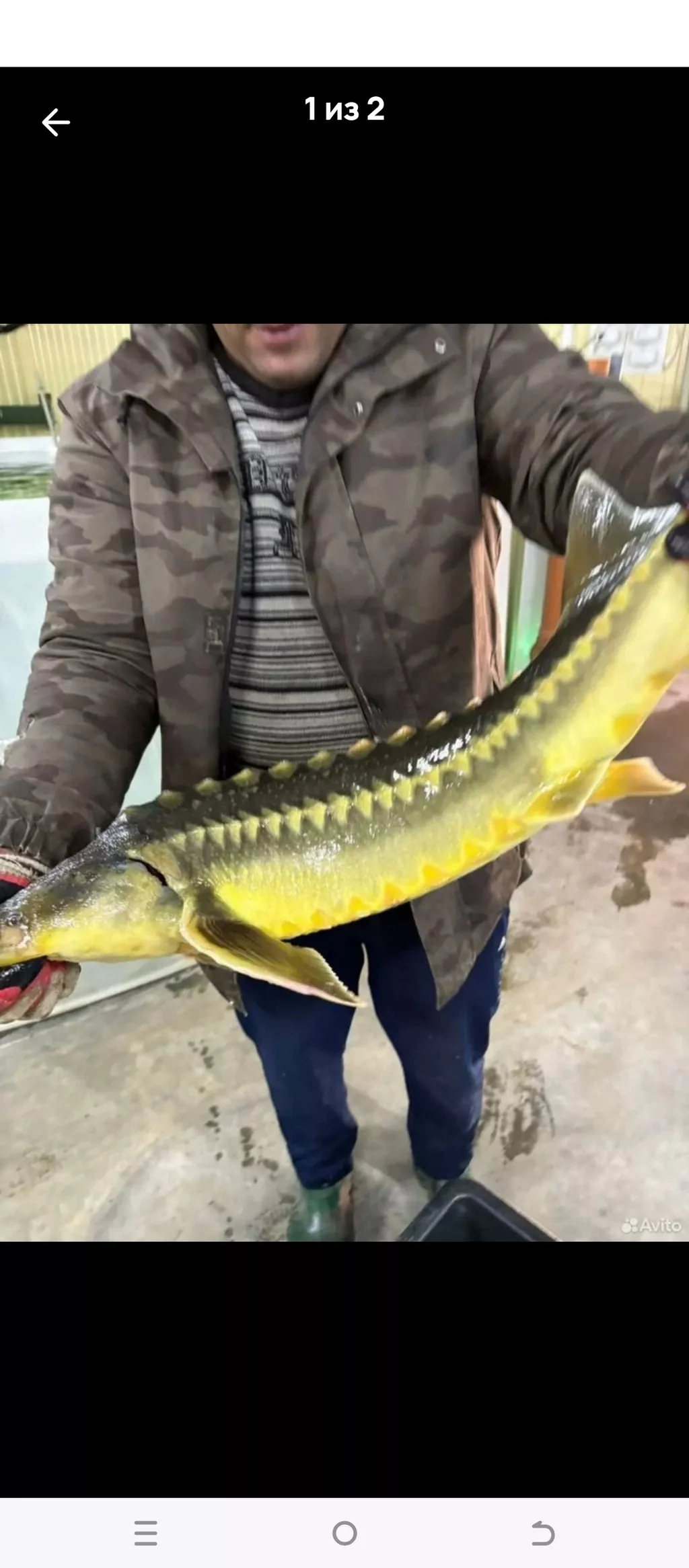 Фотография продукта Личинка молодь малёк 