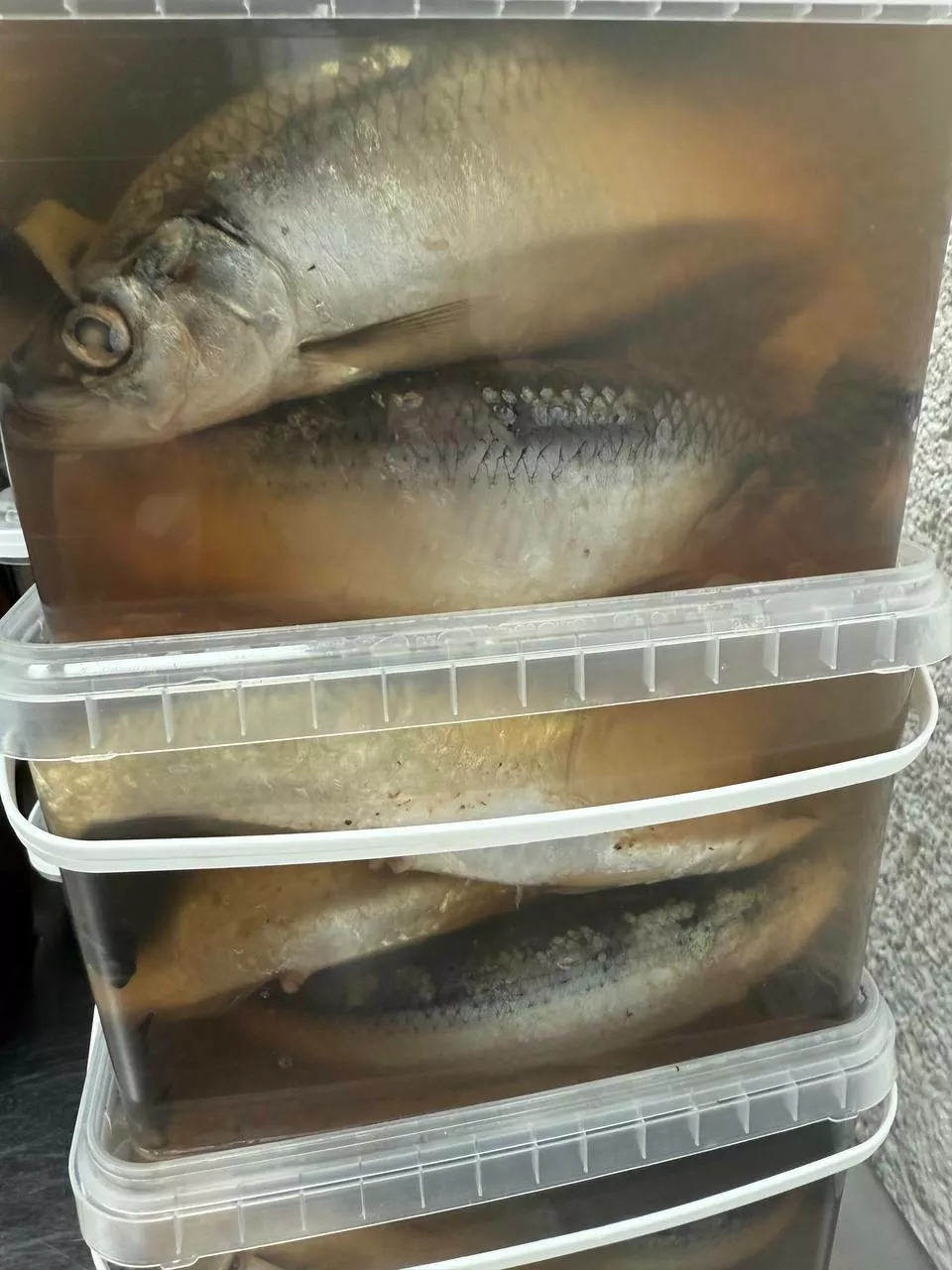 фотография продукта Сельдь пряного пасола 