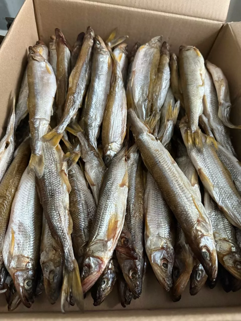 фотография продукта Корюшка зубатка вяленая 