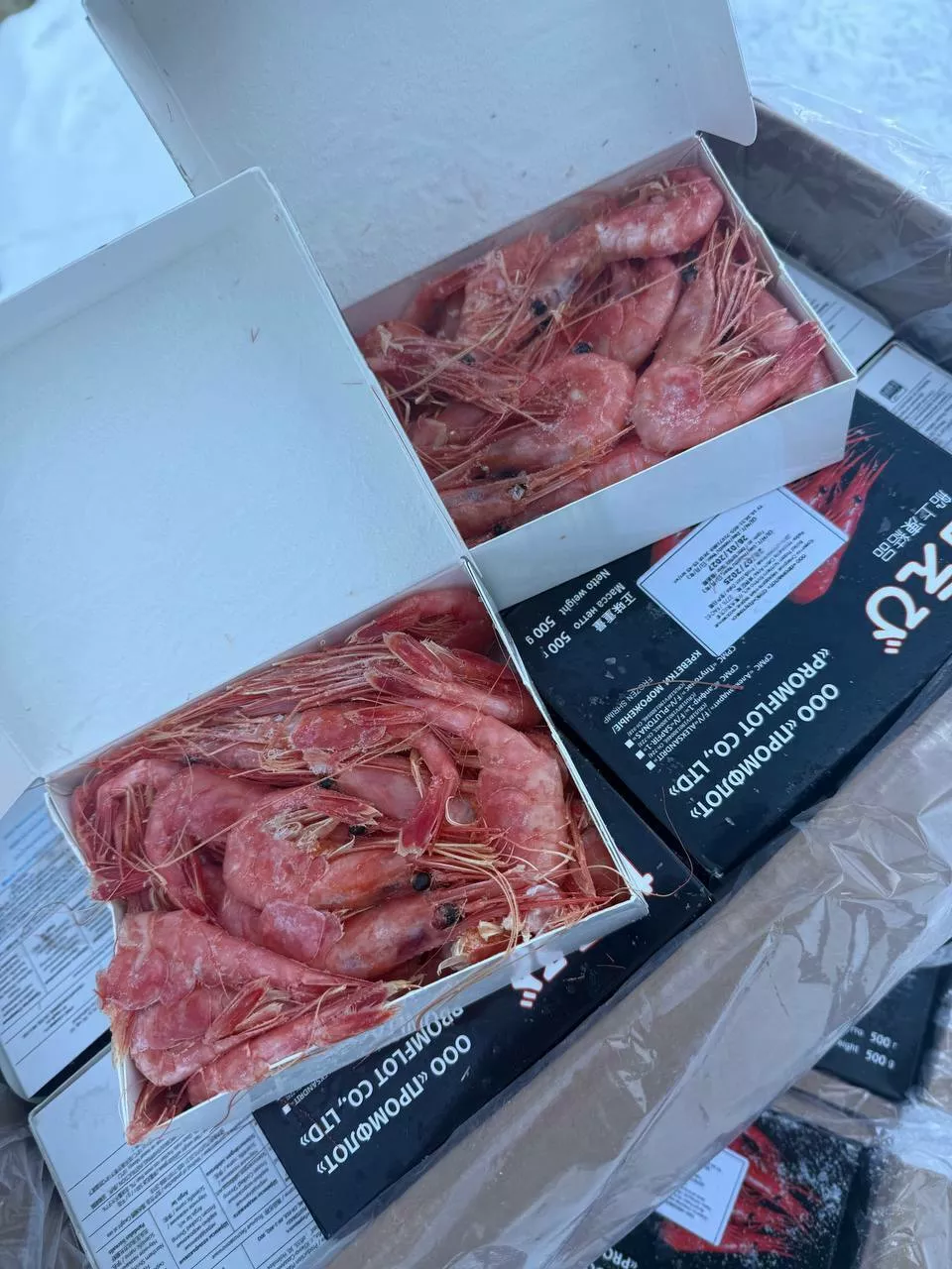 Фотография продукта Креветка северная 70/90  в/м «промфлот»