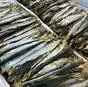 вяленая корюшка в Хабаровске и Хабаровском крае 2