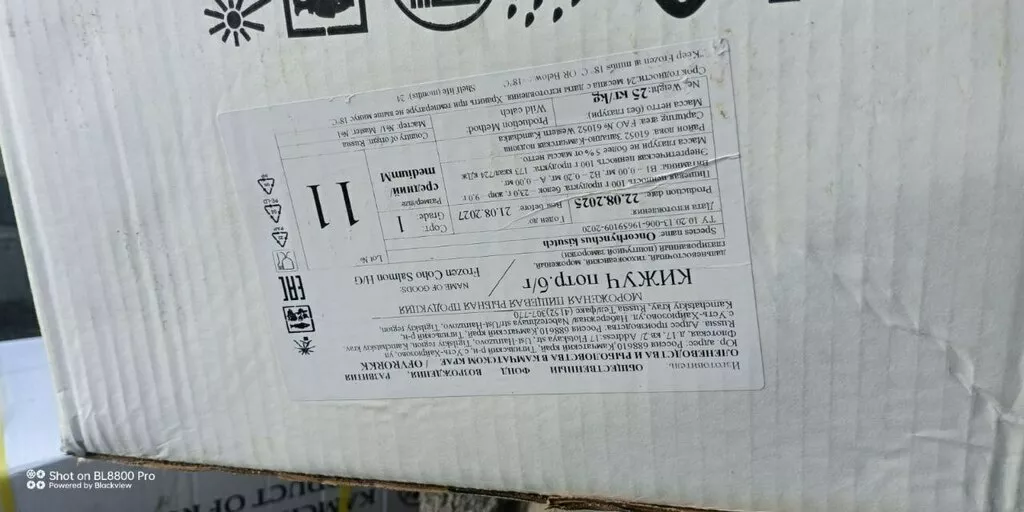 Фотография продукта Кижуч пбг штучной заморозки