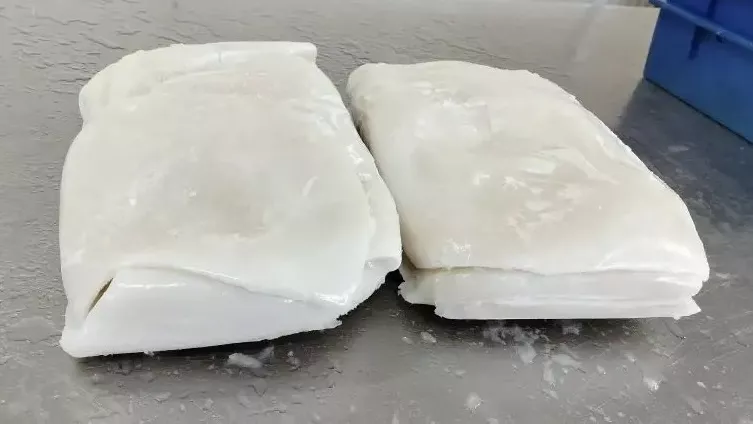 фотография продукта Кальмар гигас филе 2-4 с/м б/к перу