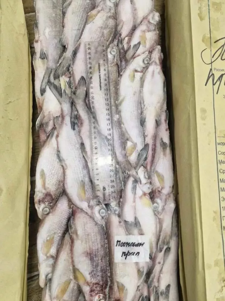 фотография продукта Северный сиг - сырок, пыжьян янао