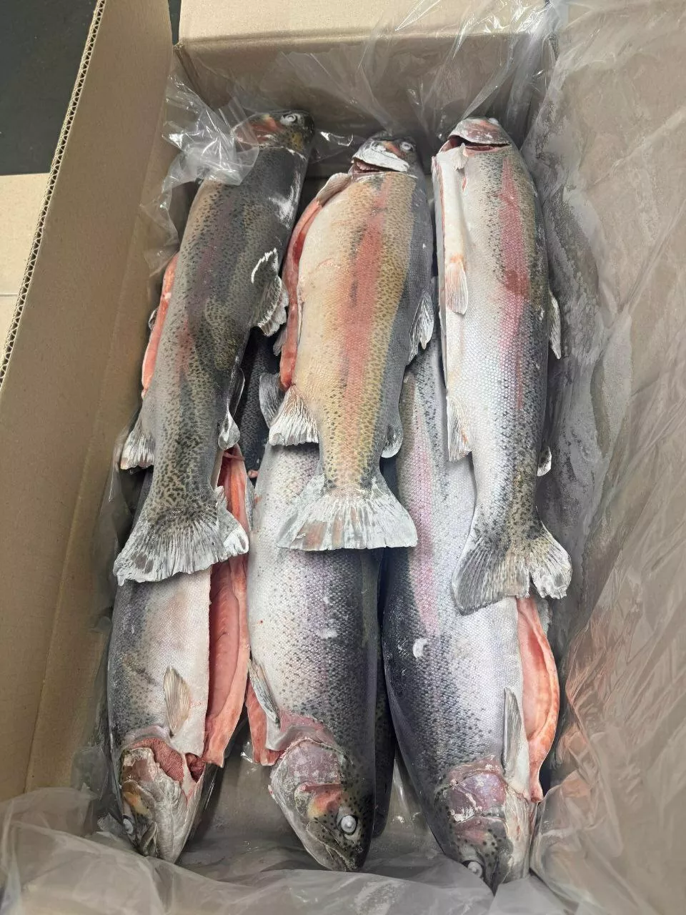 фотография продукта Форель пбг псг обрезь хребты хвост голов