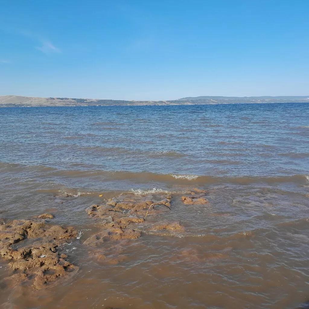 фотография продукта 3 га в собственность 3 фазы волга