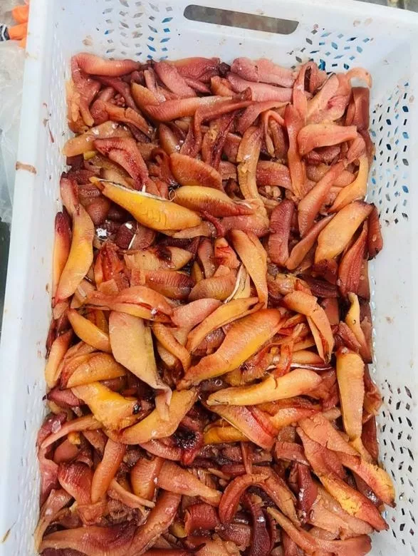 фотография продукта Икра сельди свежемороженая