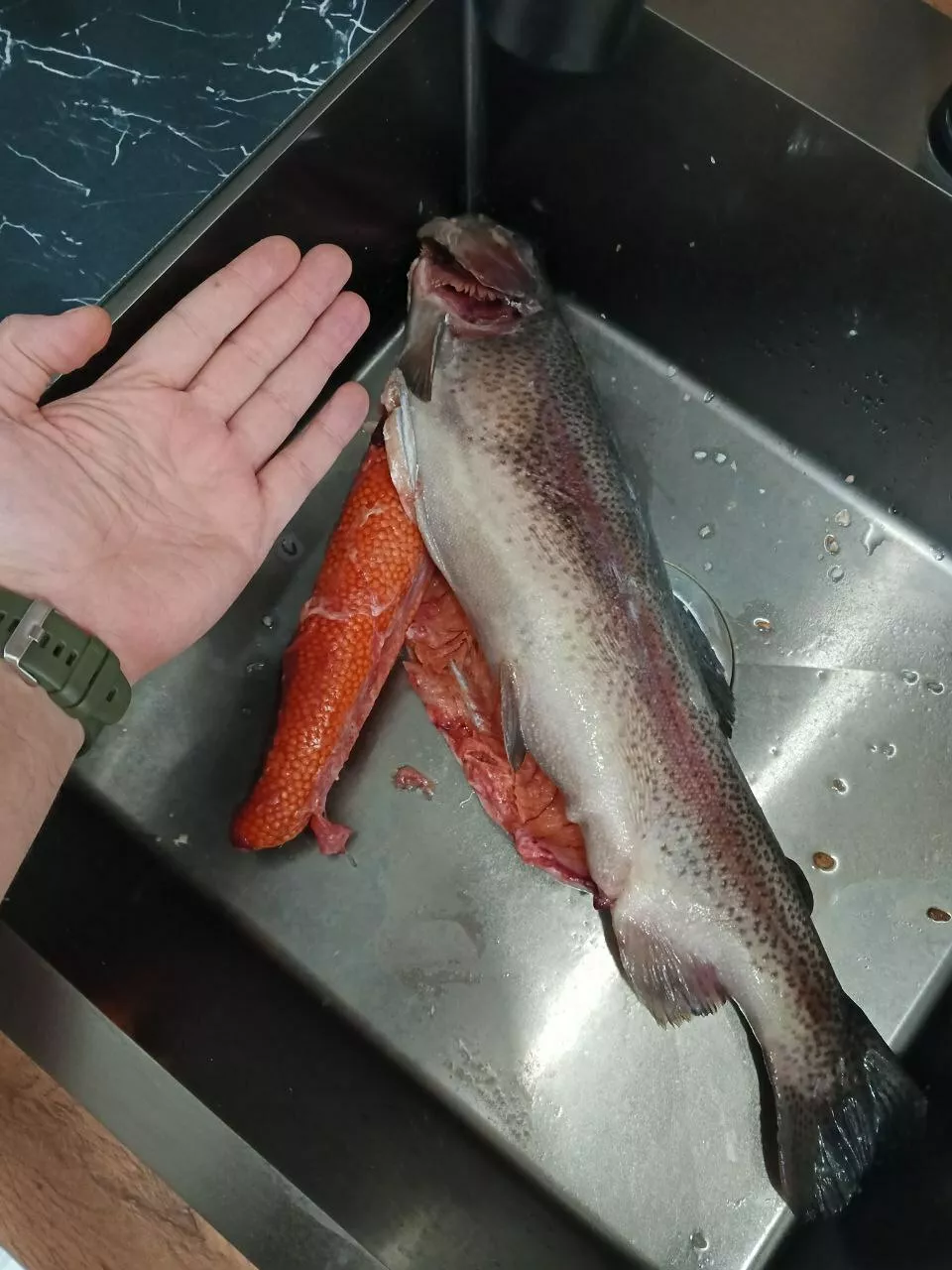 Фотография продукта Cвежемороженая форель с икрой (2-3 кг)