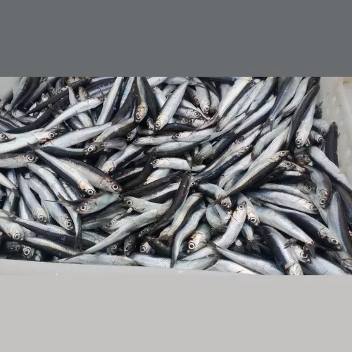 Фотография продукта Хамса на консервы  сорт корма форель 