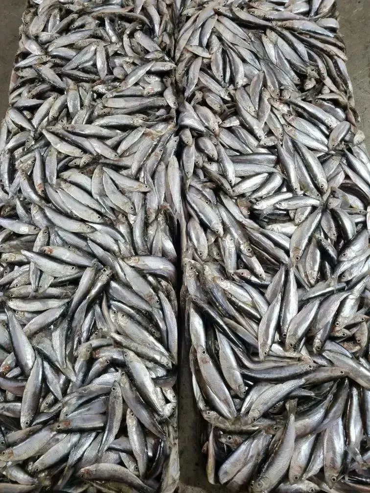 Фотография продукта Килька каспий 1 сорт 