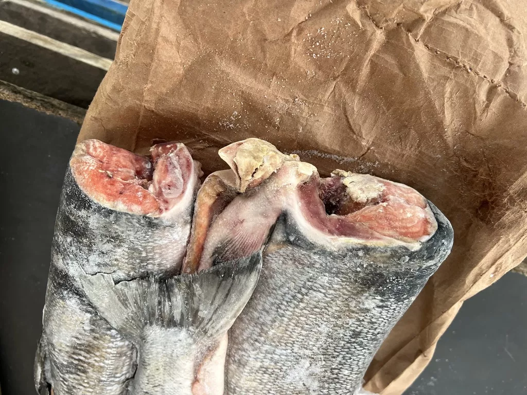 Фотография продукта Кета пбг омега, вестфиш, камчат-тур