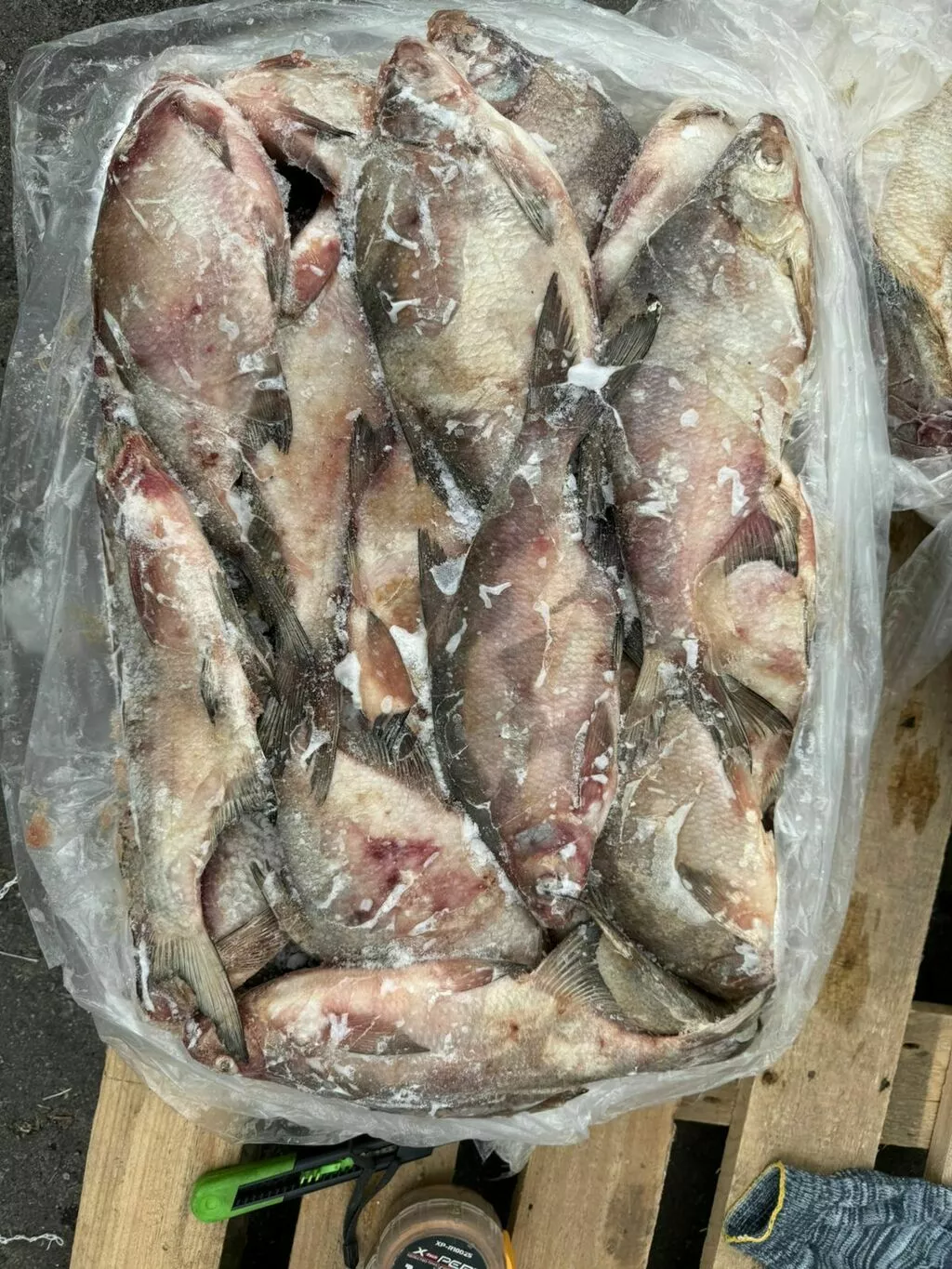 фотография продукта Лещ с/м 800