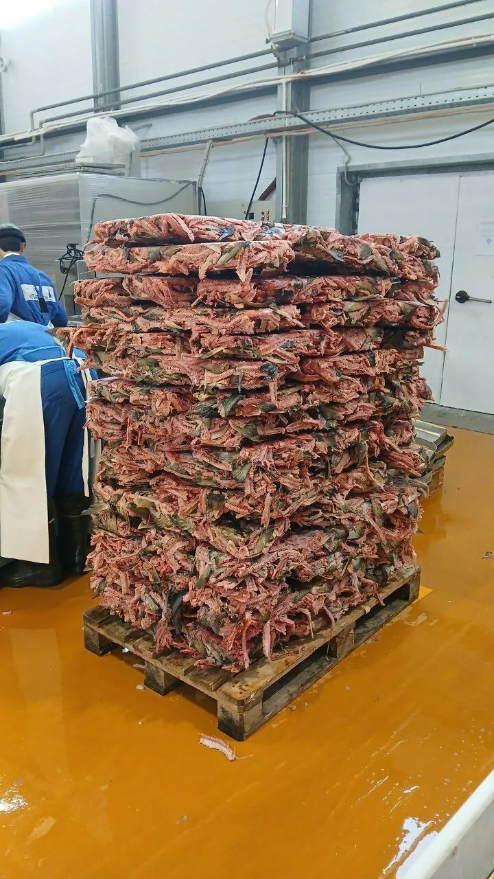 фотография продукта Хребты горбуши и кеты от 20 тонн