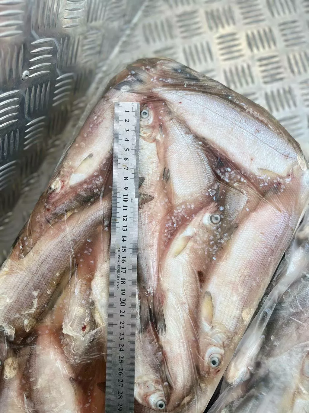 Фотография продукта Пелядь мороженая