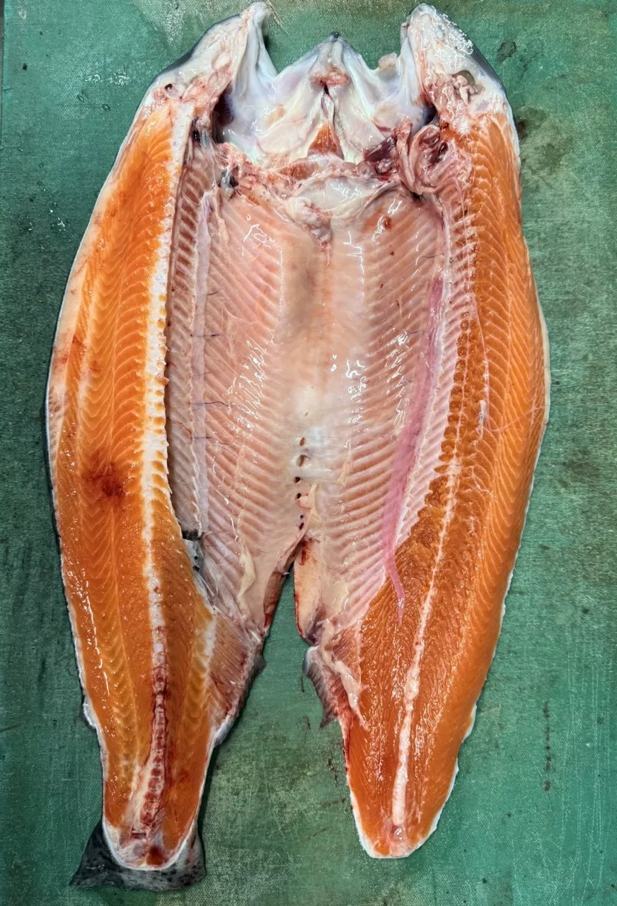 фотография продукта Форель напрямую от хозяйства