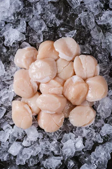 фотография продукта Филе гребешка (медальоны)